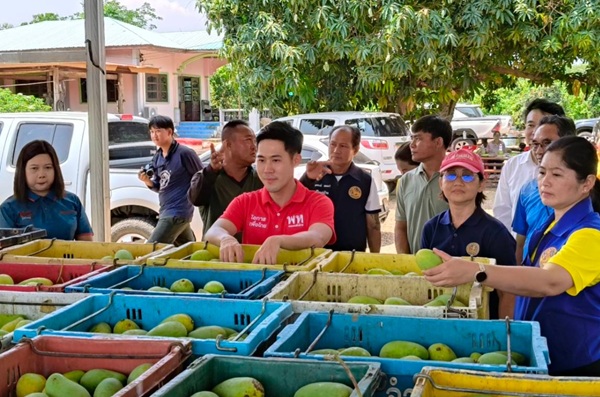 เข้าซื้อมะม่วง
