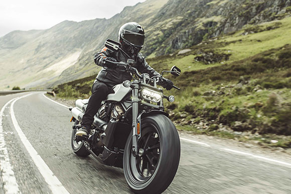 7436 Harley Sportster S 1