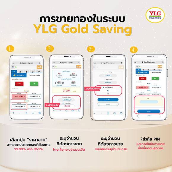 10767 YLG Gold Saving3