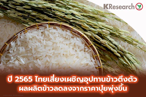7104 KR Rice