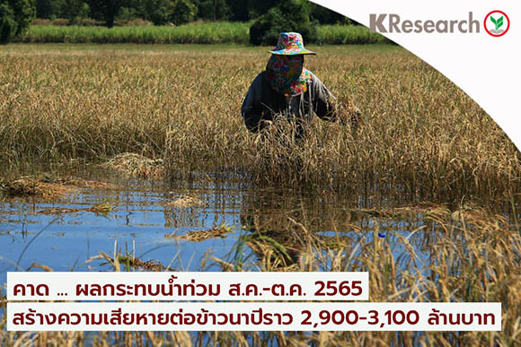 91109 KR flood rice
