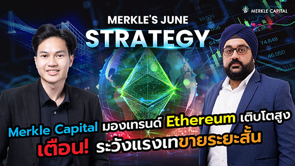 6081 Merkle Strategy