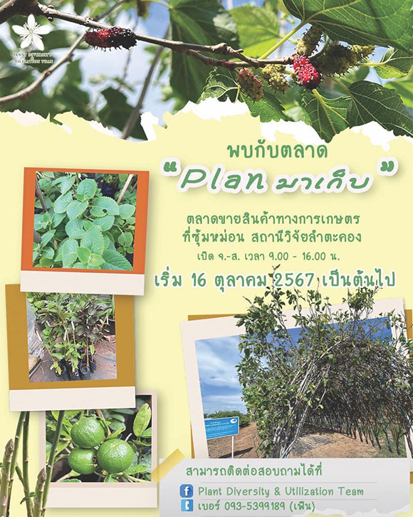 10440 วว Plan มาเก็บ