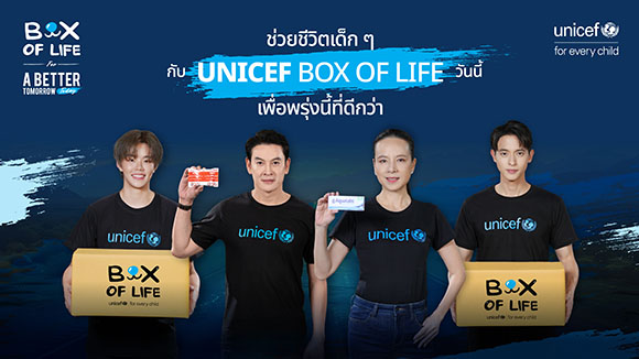 11438 Unicef Box of Life 1