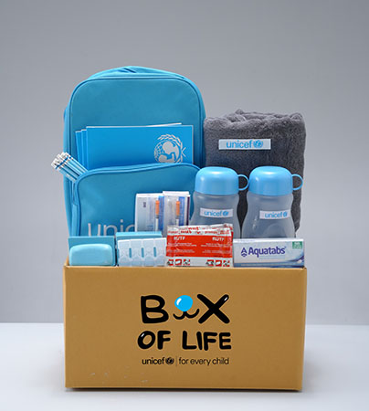 11438 Unicef Box of Life 5