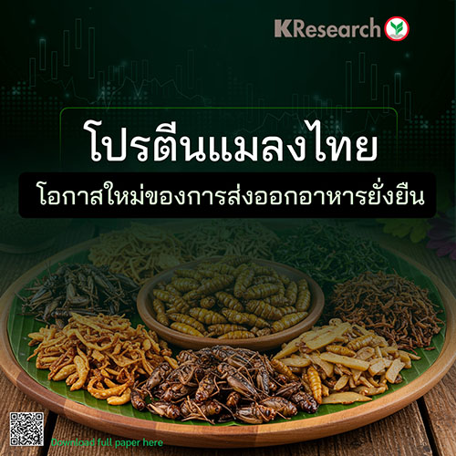 5217 KR INSECT PROTIEN EXPORT