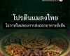 โปรตีนแมลงไทย โอกาสใหม่ของการส่งออกอาหารยั่งยืน