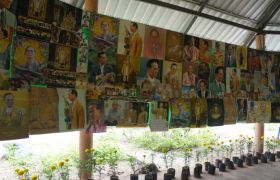 ทุ่งดาวเรือง รวมใจภักดิ์” ต้นกล้า 450,000 ต้น เหลืองอร่ามเต็มพื้นที่ 50 ไร่ สัญลักษณ์ '๙' ใหญ่ที่สุดในประเทศไทย