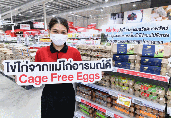‘แม็คโคร’ เดินหน้าส่งเสริมสวัสดิภาพสัตว์ จับมือพันธมิตรผลิตไข่ไก่จากแม่ไก่อารมณ์ดี ตั้งเป้าขยายการรับซื้อ-จำหน่าย ในราคาที่เอื้อมถึงได้แก่ผู้บริโภคและผู้ประกอบการ