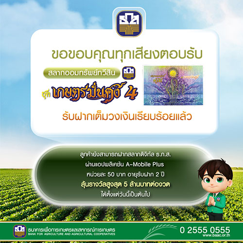 31238 BAAC211