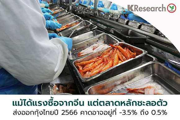 3633 KR Export Shrimp