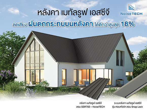 4229 SCG Metal Roof 01