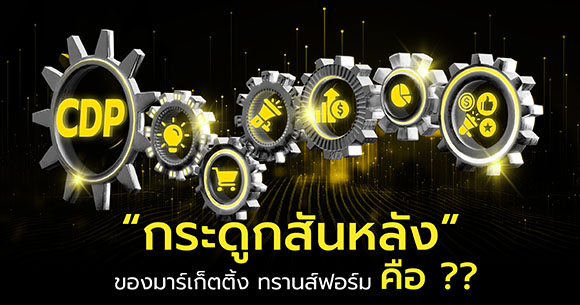 6492 YDM