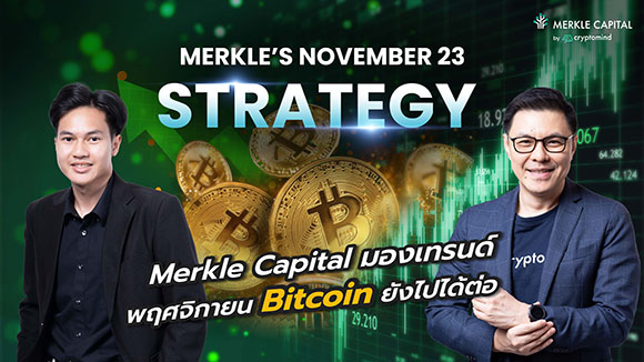 11039 Merkle Strategy