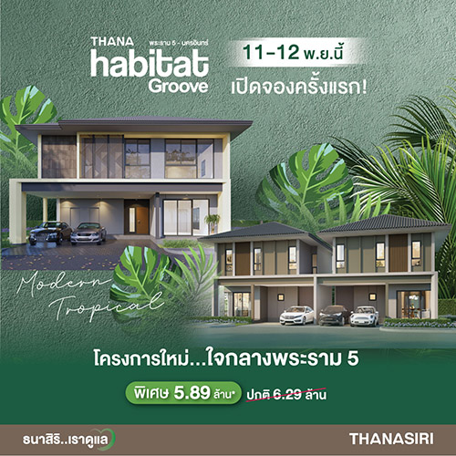 11475 THANA Habitat Groove